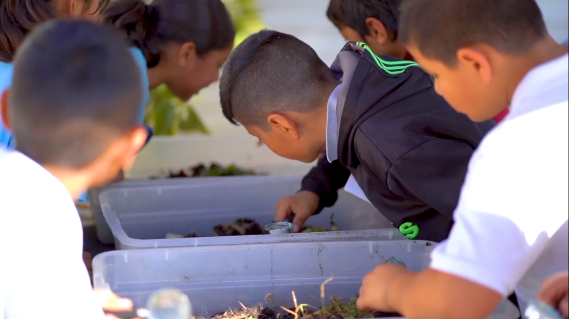 The Food, Land, Water Project