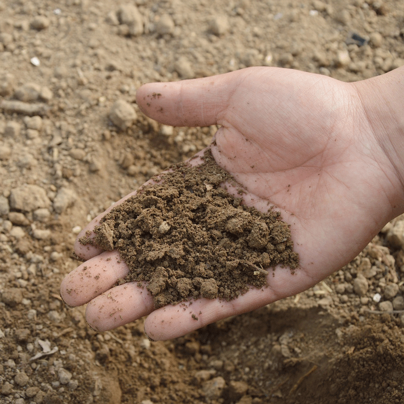 Soil-testing