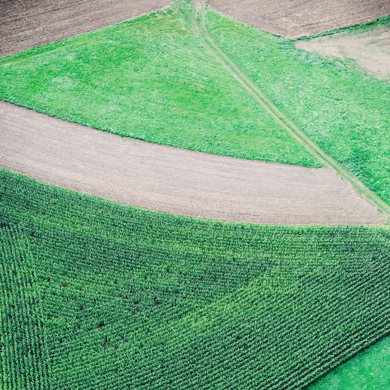 cover-crop