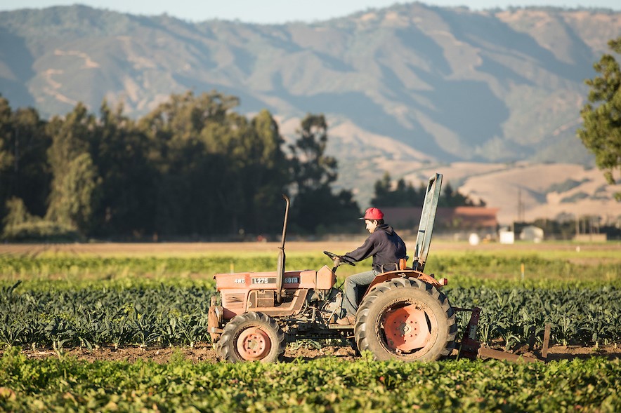 Organic Farm Incubator